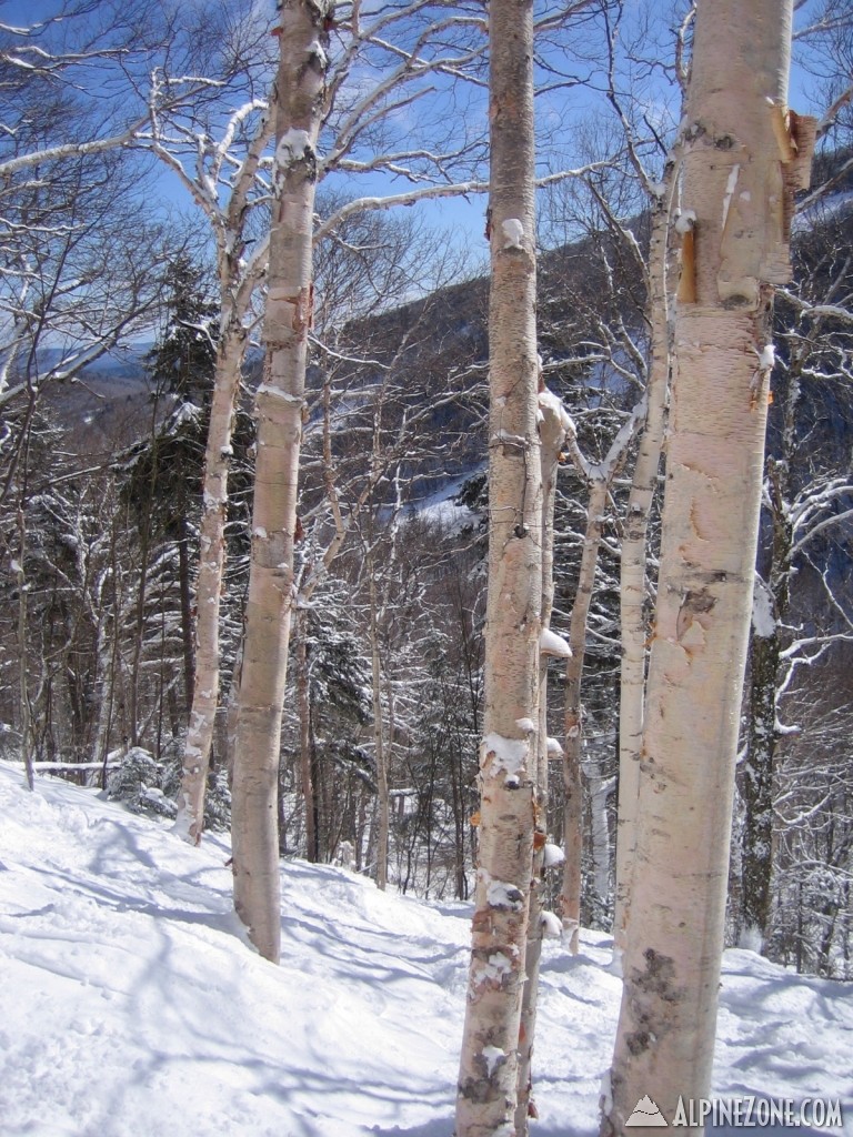 killington 3/2/08