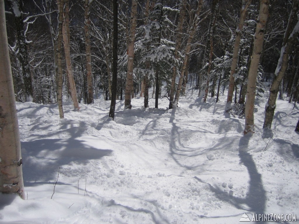 killington 3/2/08