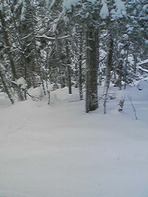 Killington Woods off K-Peak