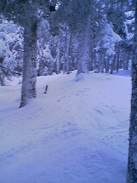 Killington Woods off K-Peak