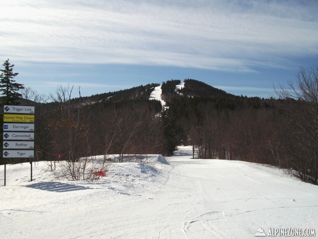 Looking towards the summit