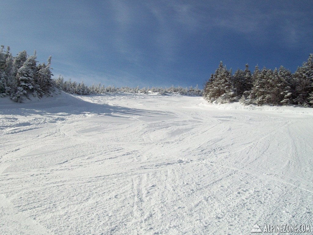 Looking up Vista Way