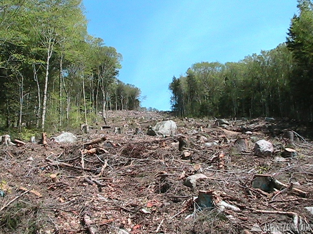 Loonnewtrails5-10_009