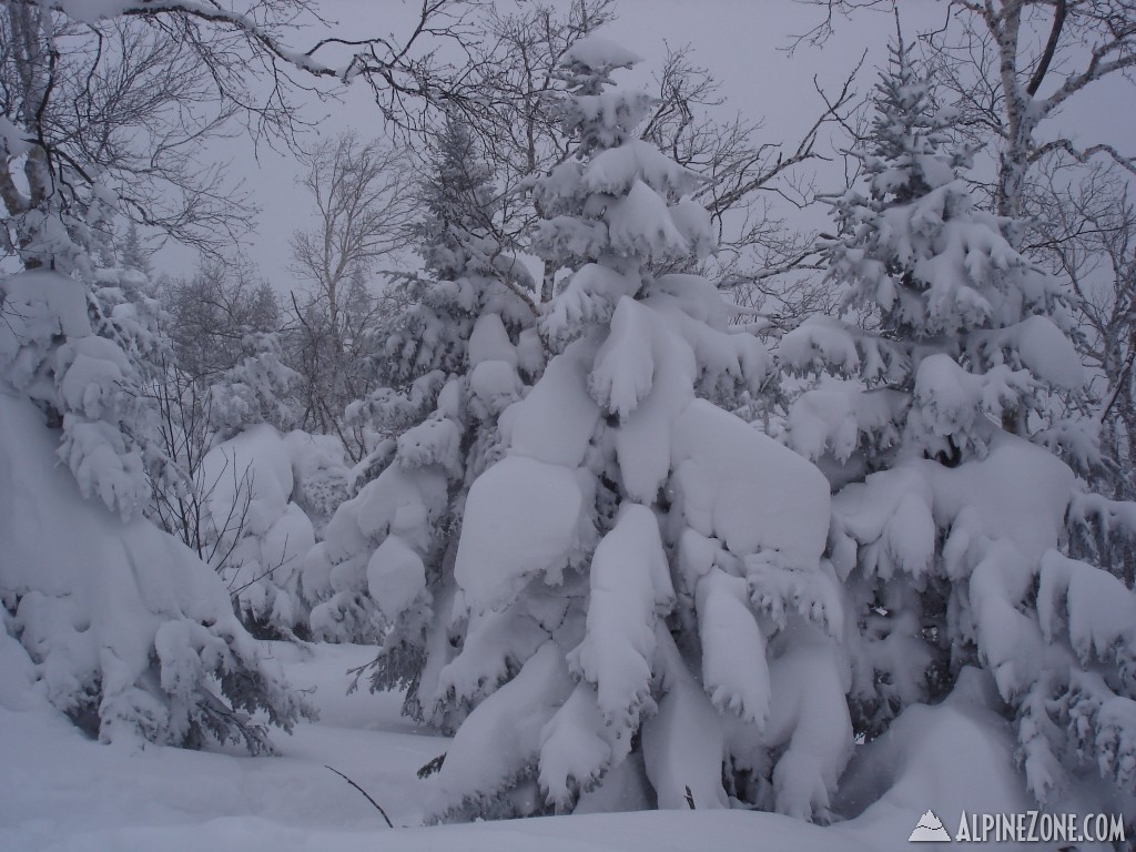 Lots of snow!