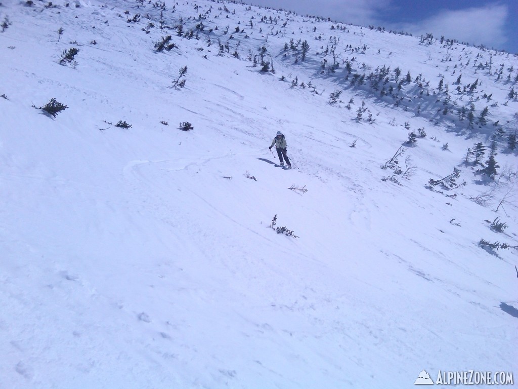 M Descending Mt Clay, North Branch of Burts Ravine