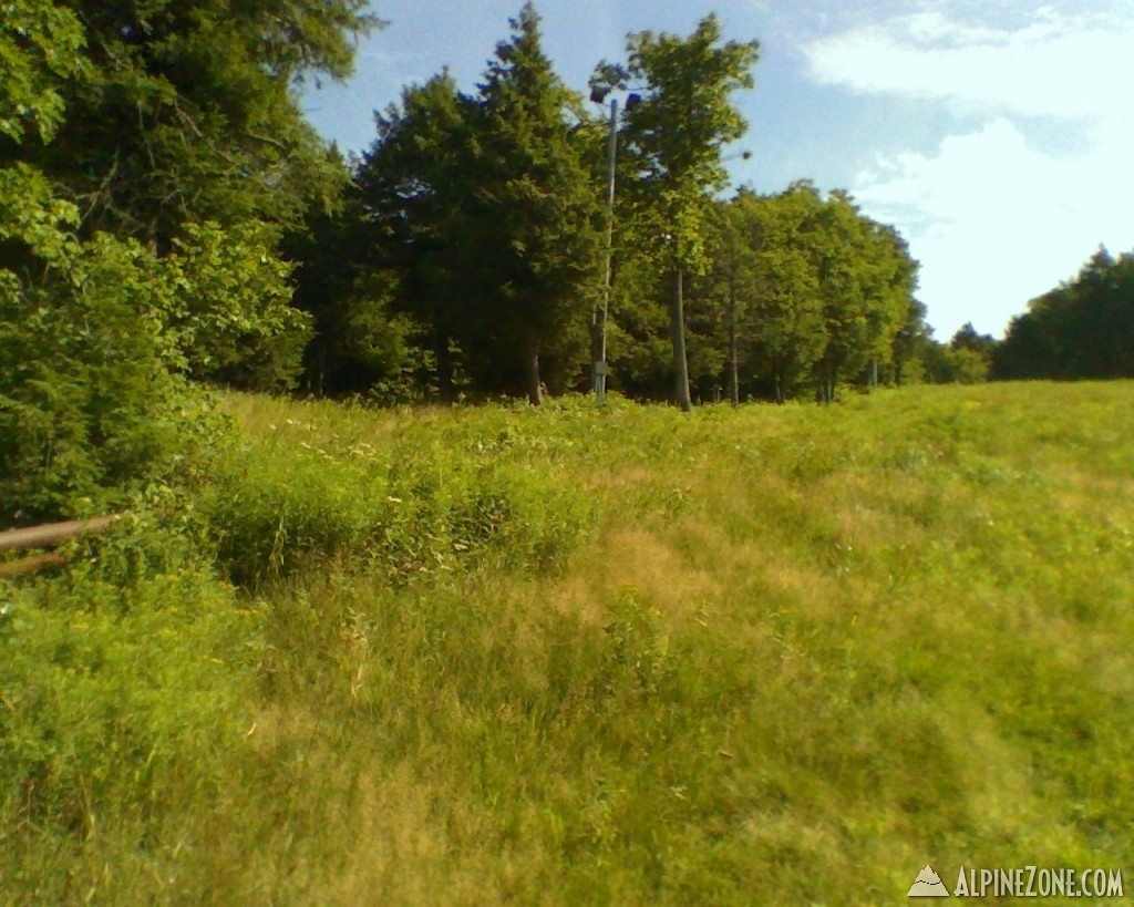 Merge of Conifer and Balance Rock (the ski trail) from the upper road cross