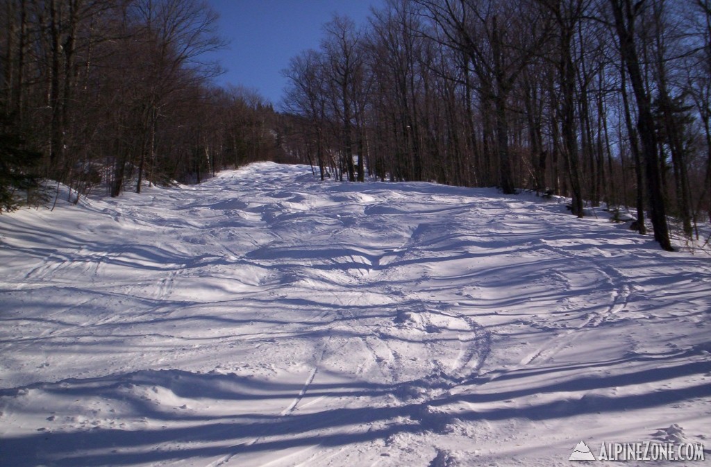 Mountain Marsh