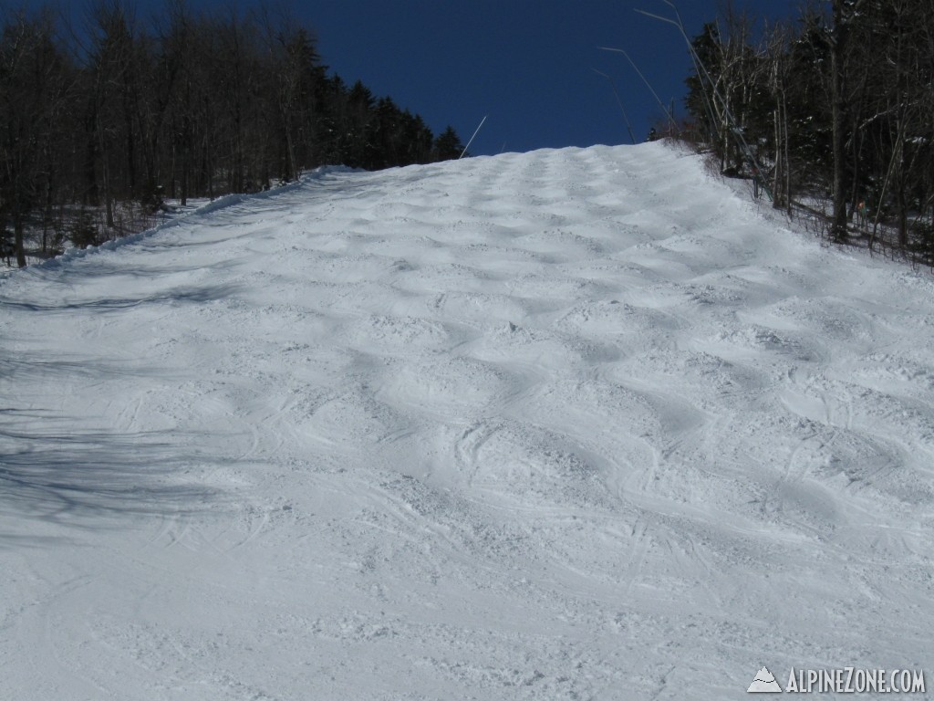 Nice Spring Bumps