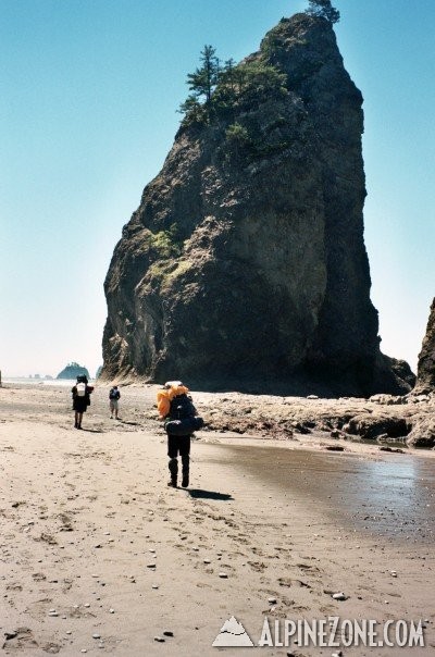 Olympic Coast