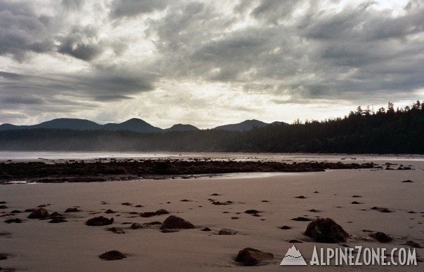 Olympic Coast