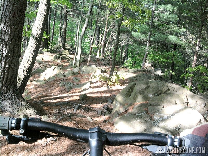 Photo-0025