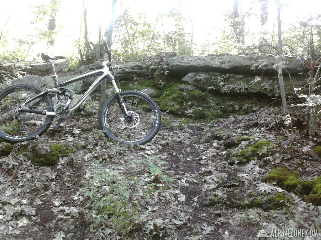 Photo-0078