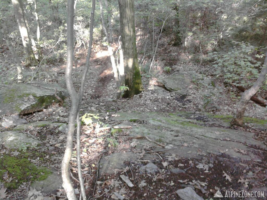 Photo-0080