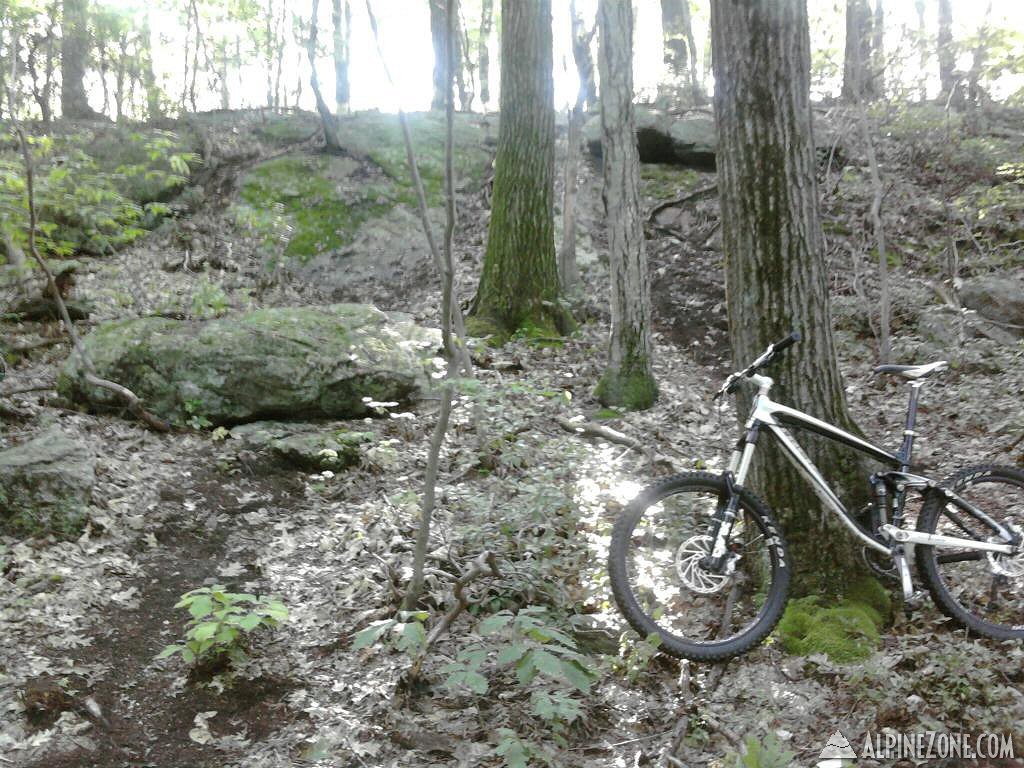 Photo-0082