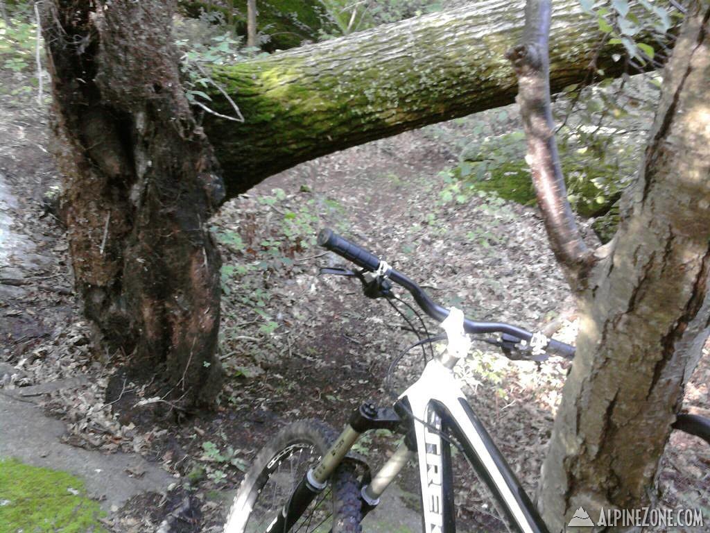 Photo-0085