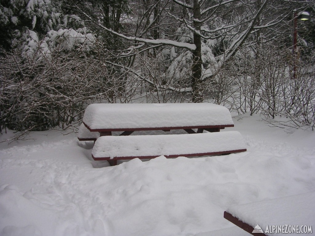 picnic_table