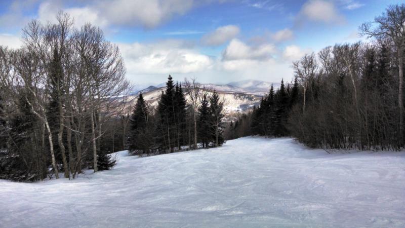 Pico Peak Birch Glades 1.jpg