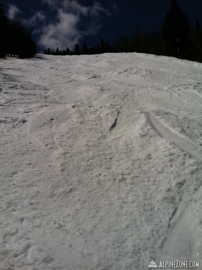 Picture of the edge to edge coverage on Haynes