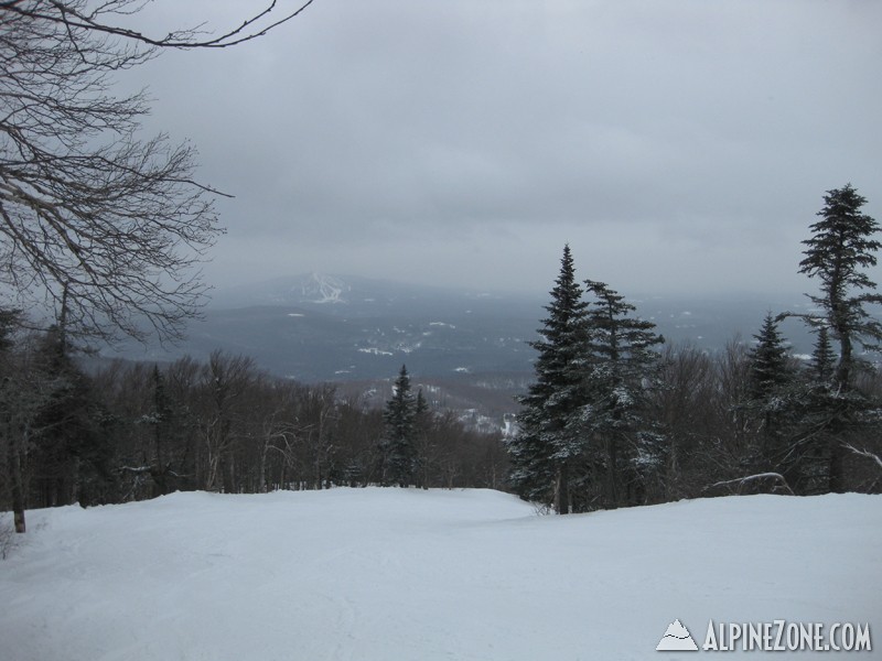 Picture_005