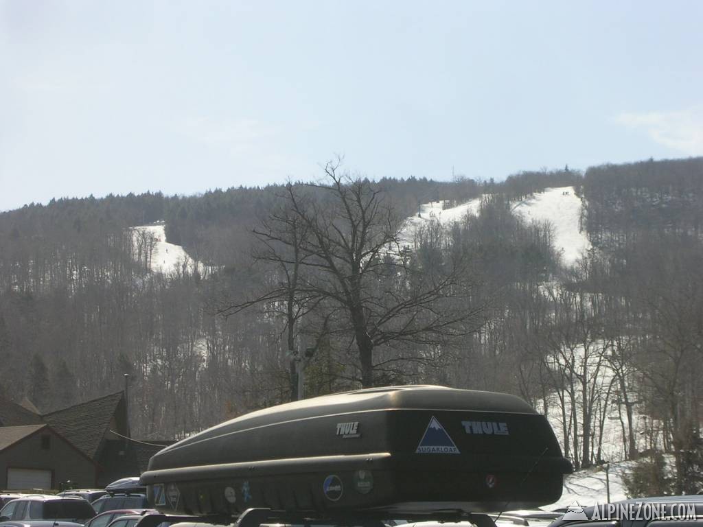 Picture_0081