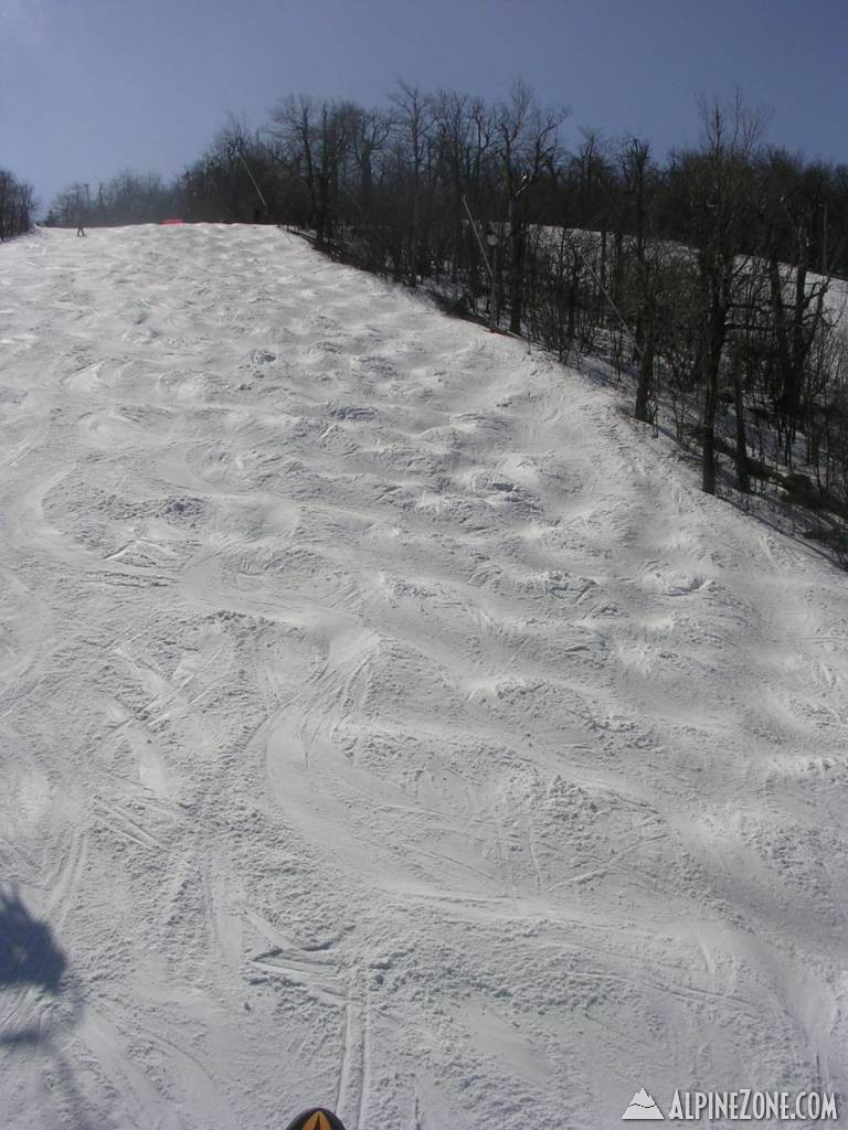 Picture_0151