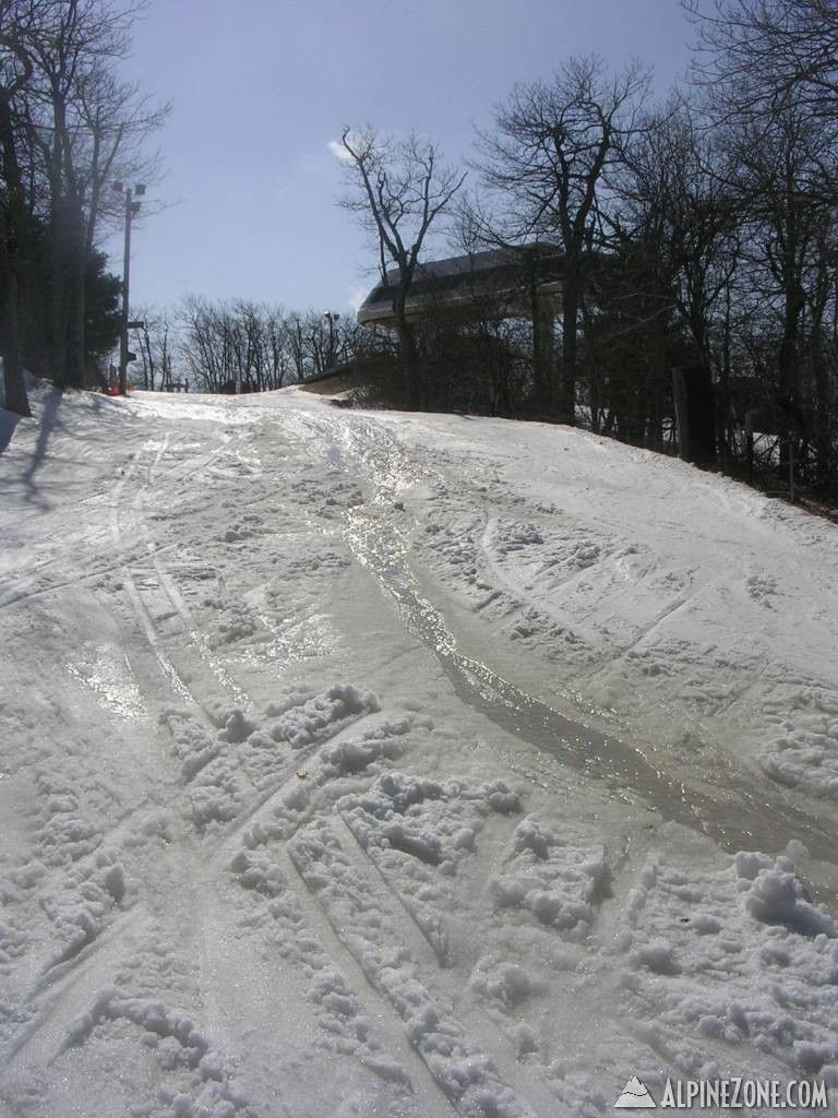Picture_0241