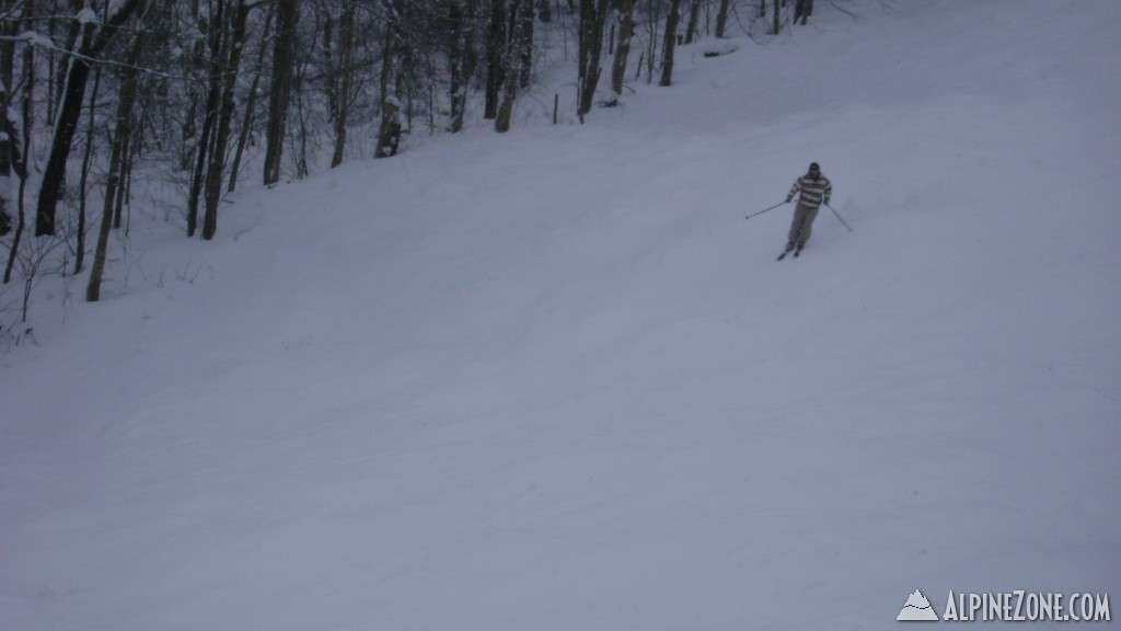 plattekill mlk 2011