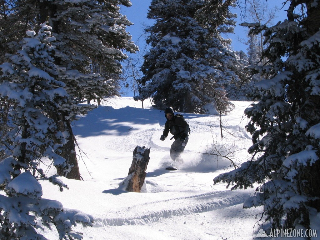 Powder Mountain 02/15/2008