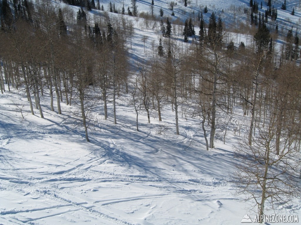 powdermtn