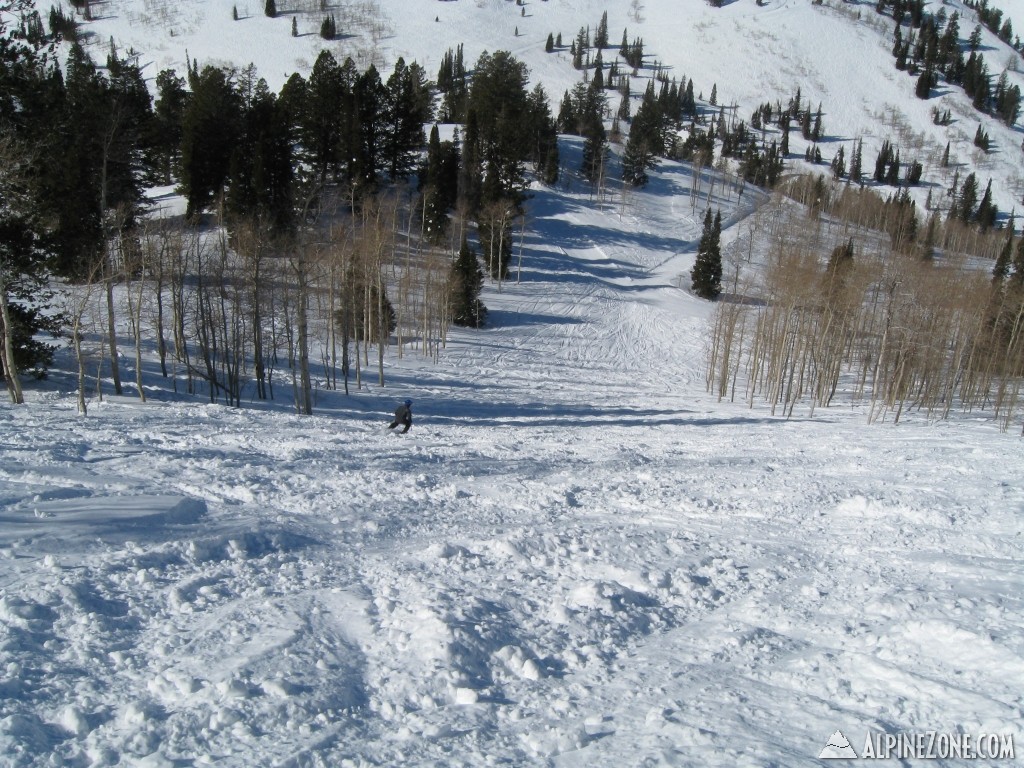 powdermtn