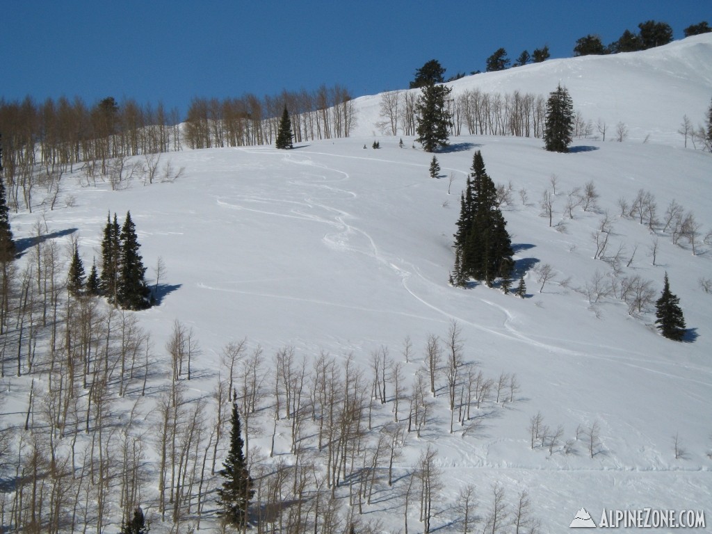 powdermtn