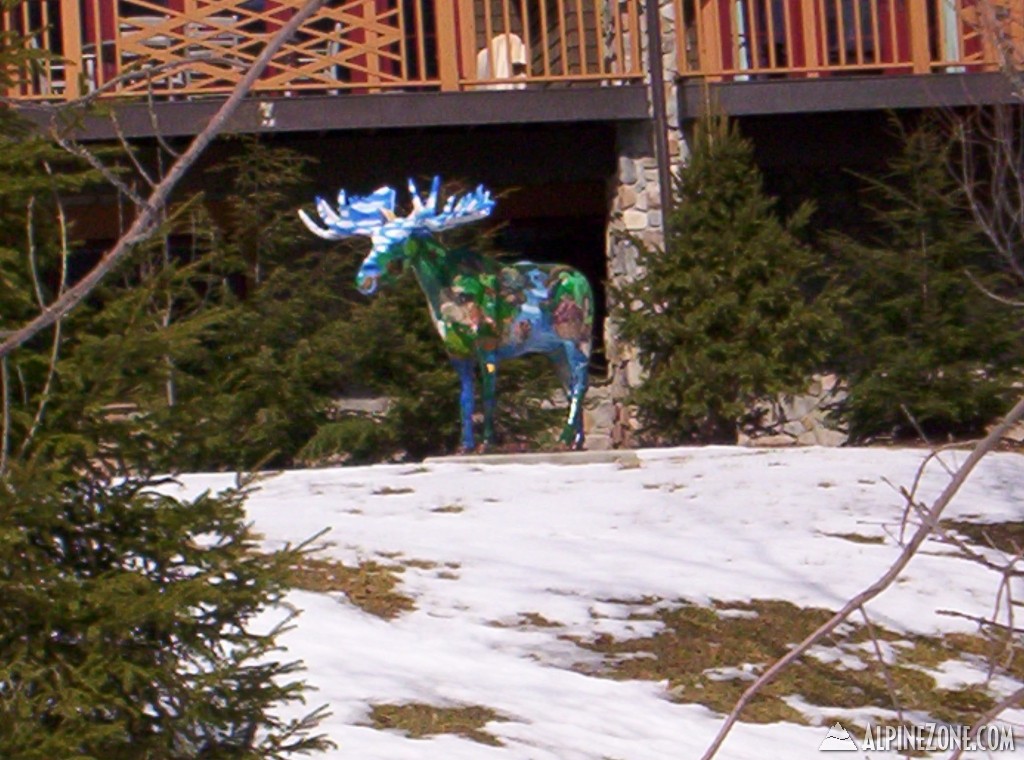 Psychedelic moose