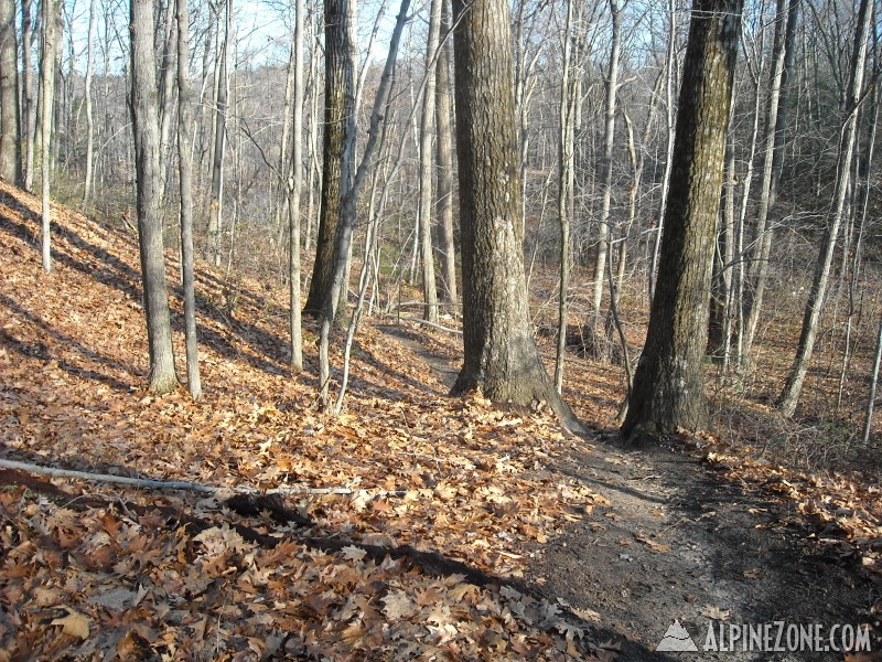 Robinson State Forest 2009-11-22