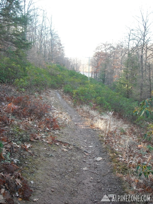 Robinson State Forest 2009-11-22