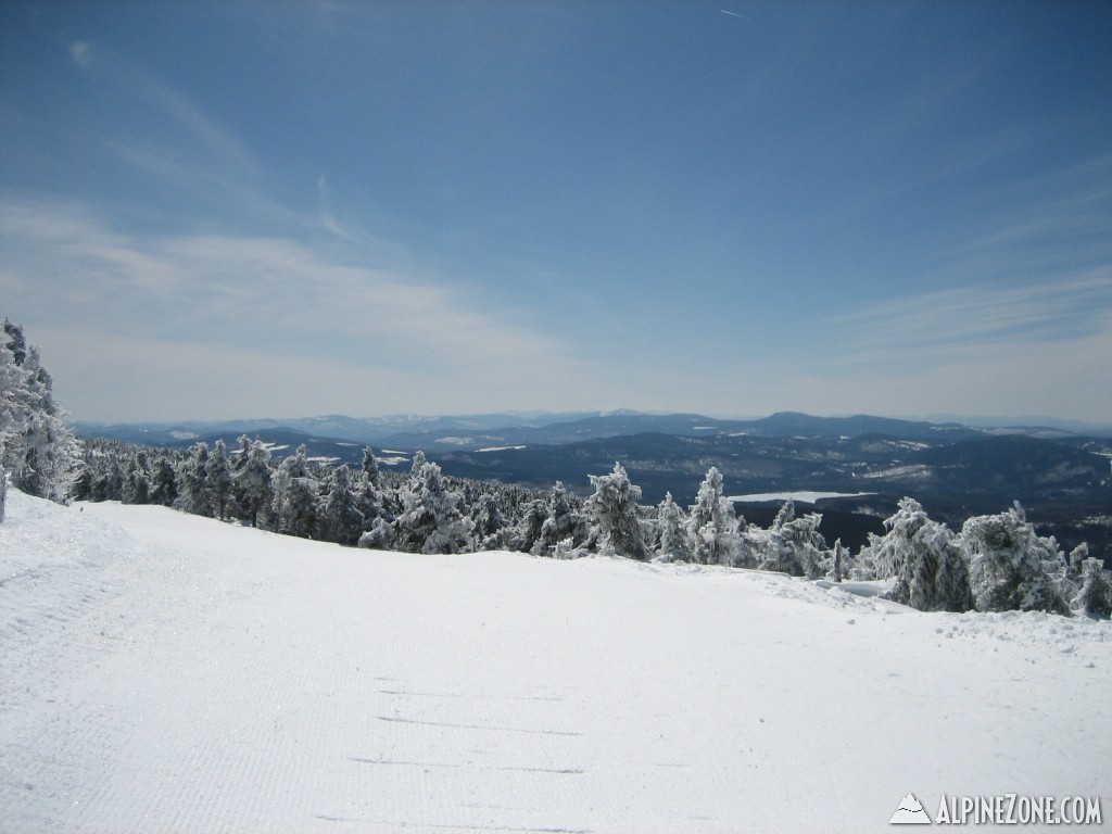 Saddleback View