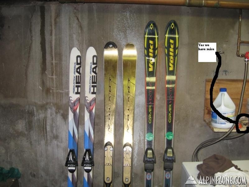 skis3