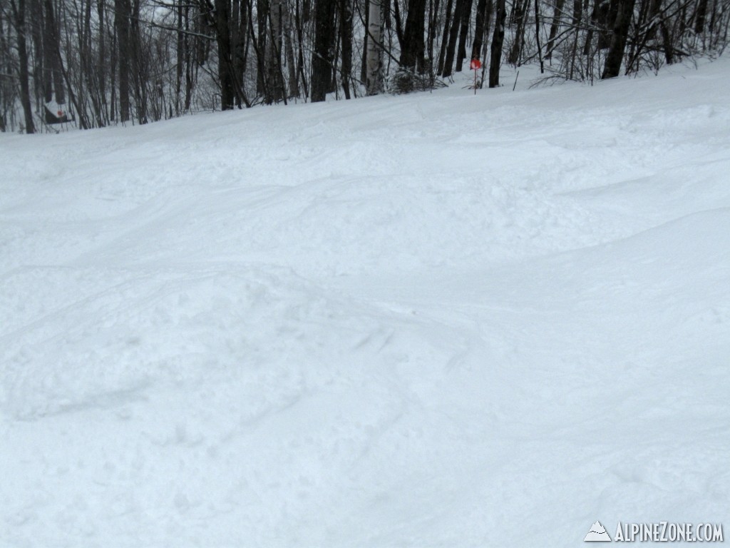 Soft Powdery Bumps