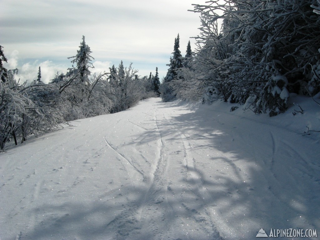 Sparkly Snow on East Bowl