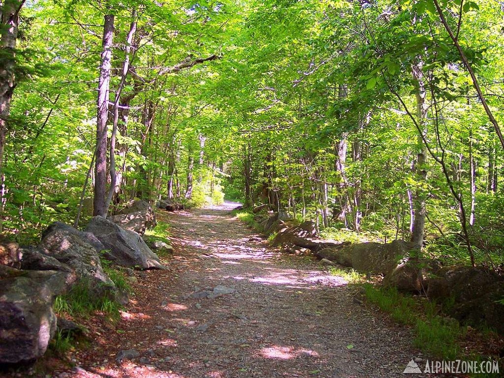 start of Tuckermine Ravine Trail