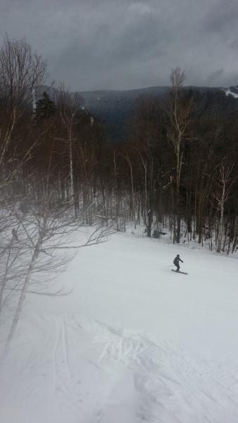 Sugarbush 1.jpg