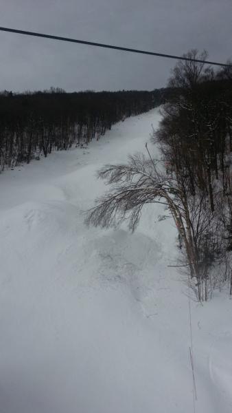 Sugarbush 2.jpg