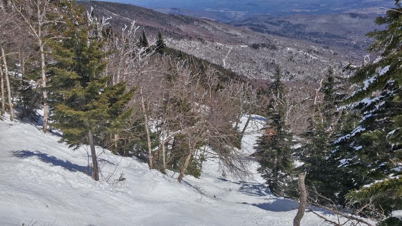 Sugarbush-4-22_06.jpg