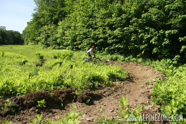 Sugarbush berms!