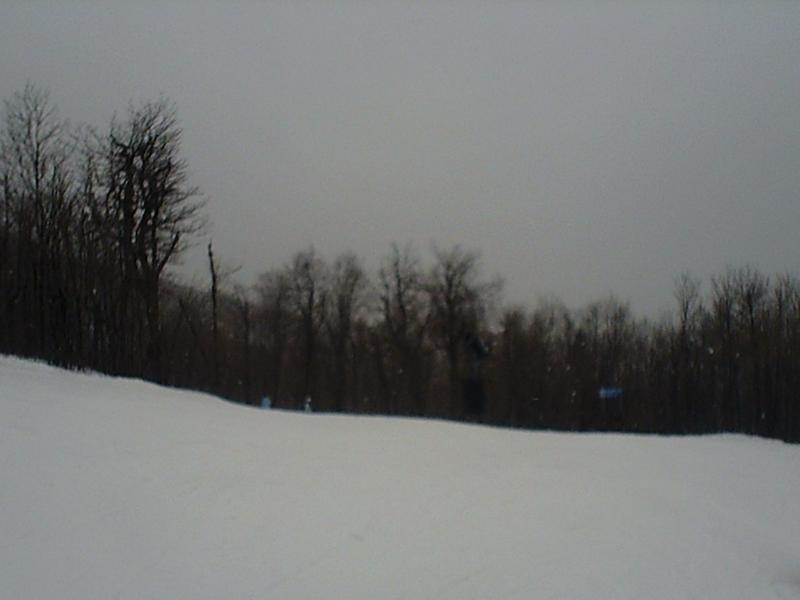 SUNP0005.jpg