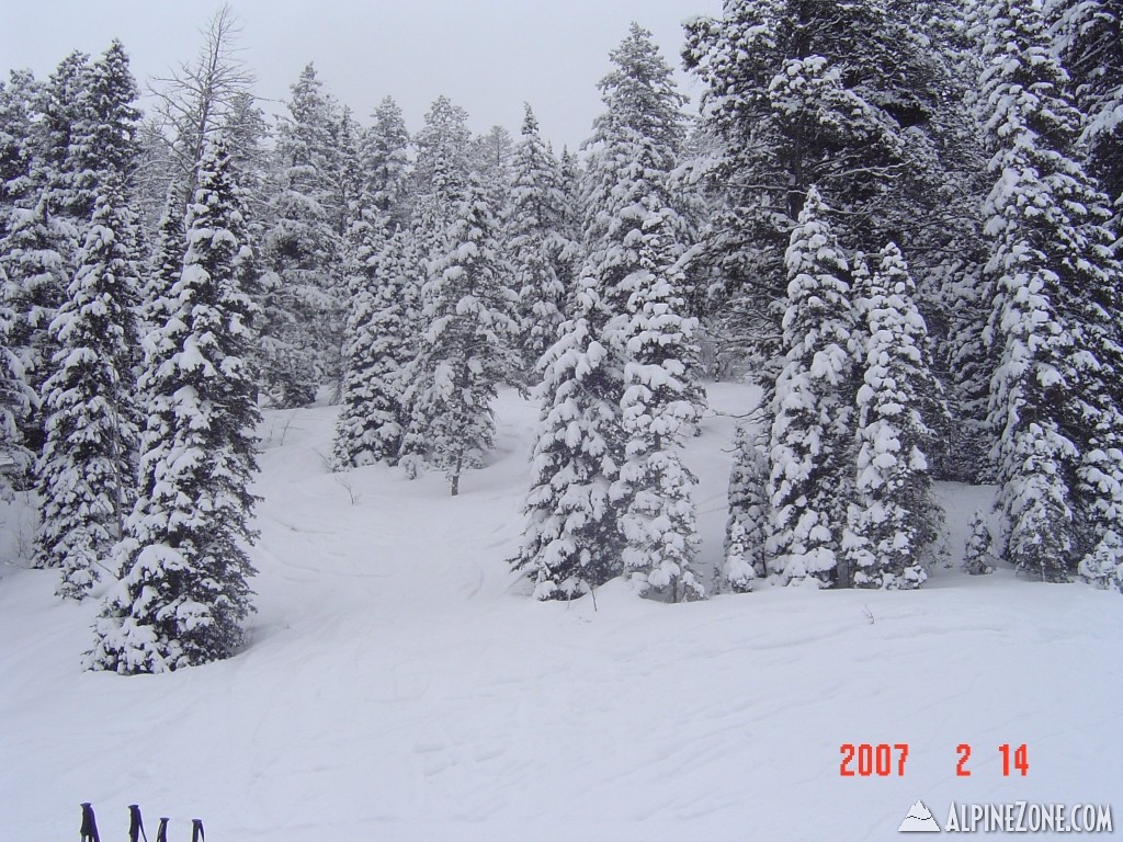 Targhee Feb 2007