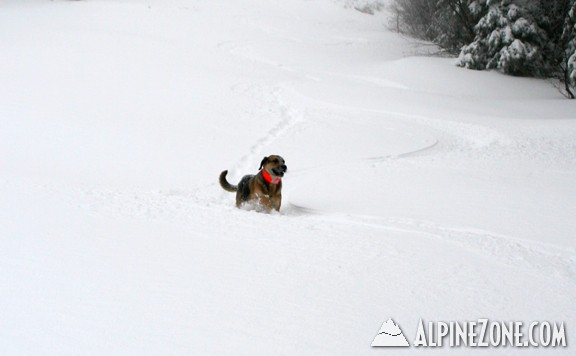 Thursday at Stowe