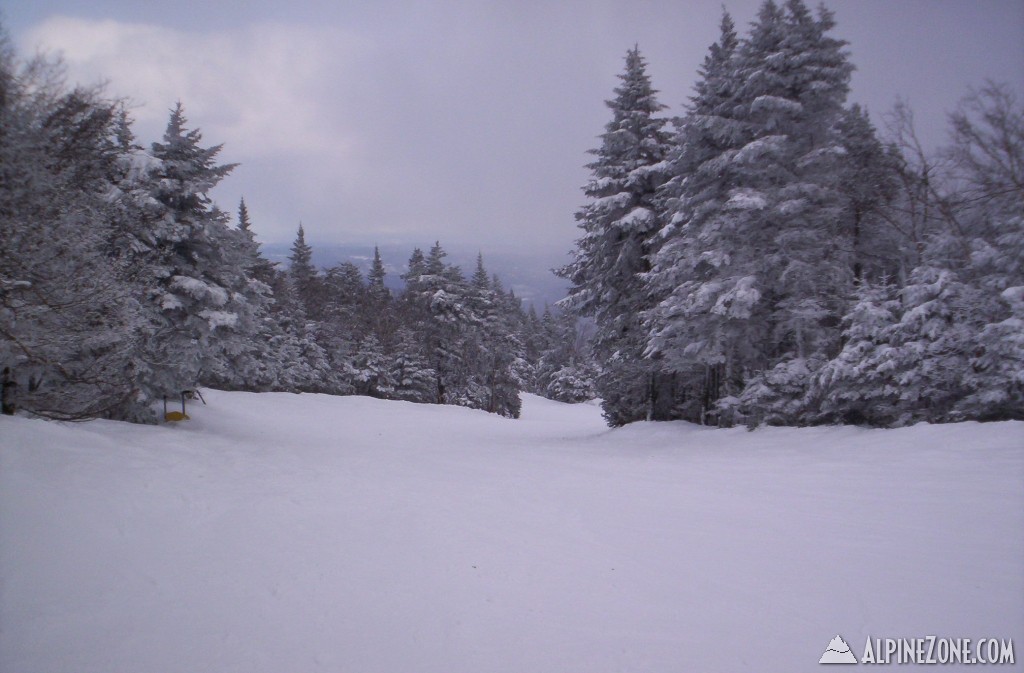 Top of Black Bear