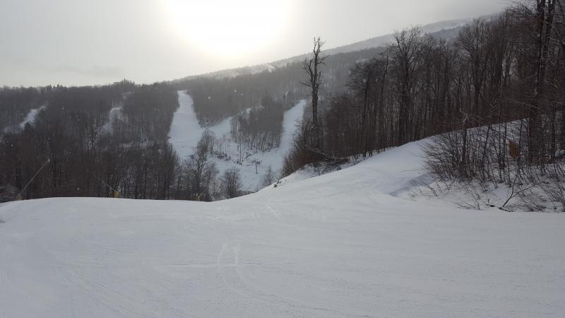 trail 1.jpg