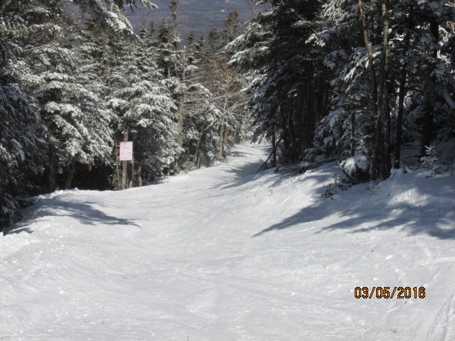 Tuckerbrook entrance-connector trail to Mittersill.JPG