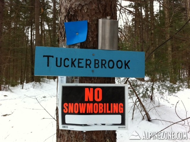 tuckerbrook21